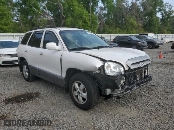 2005 Hyundai Santa Fe GLS with VIN KM8SC13EX5U870637, listed as a Copart auction lot 50283575 with 135,060 mi miles and Salvage Title. Bid and sale history available at carsss.com. Image 4.