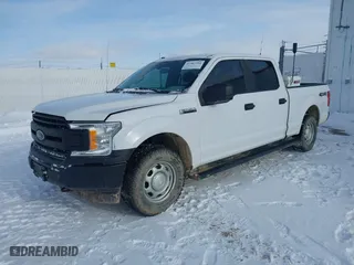 2019 Ford F-150 XL with VIN 1FTFW1E52KKD52023, listed as a IAAI auction lot 41483384 with 144,471 mi miles. Bid and sale history available at carsss.com. Image 17.