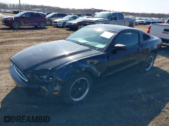 2013 Ford Mustang V6 with VIN 1ZVBP8AM3D5235860, listed as a IAAI auction lot 41778077 with 163,671 mi miles and . Bid and sale history available at DreamBid. Image 17.