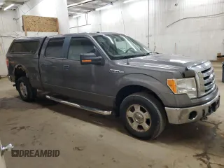 2009 Ford F-150 XL with VIN 1FTPW14V19FA73431, listed as a Copart auction lot 54222965 with 310,958 mi miles and Clean Title. Bid and sale history available at carsss.com. Image 4.