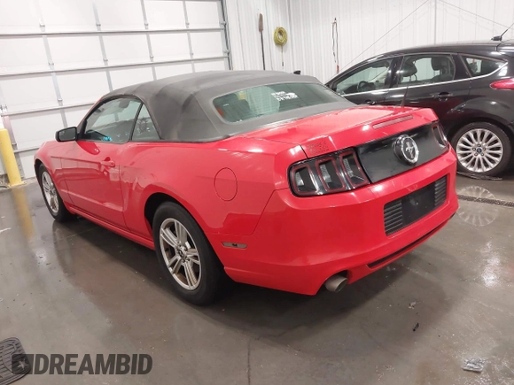 2013 Ford Mustang V6 with VIN 1ZVBP8EM7D5224564, listed as a IAAI auction lot 42148843 with 121,289 mi miles and . Bid and sale history available at DreamBid. Image 3.