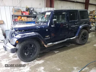 2013 Jeep Wrangler Unlimited Sahara with VIN 1C4BJWEG0DL613139, listed as a Copart auction lot 45213145 with 0 mi miles and Salvage Title. Bid and sale history available at carsss.com. Image 1.