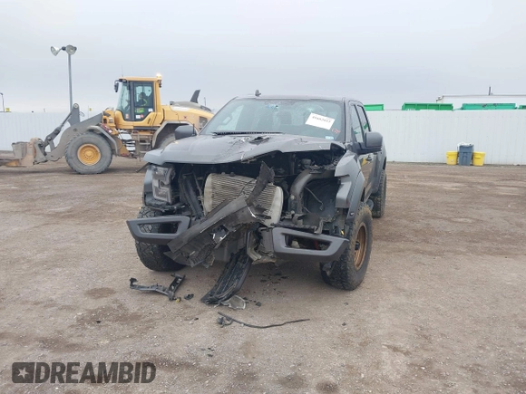 2019 Ford F-150 Raptor with VIN 1FTFW1RG9KFB45830, listed as a IAAI auction lot 41602022 with 136,401 mi miles. Bid and sale history available at carsss.com. Image 12.