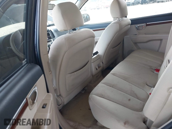 2007 Hyundai Santa Fe GLS with VIN 5NMSG13D97H084032, listed as a IAAI auction lot 42717196 with 281,287 mi miles and . Bid and sale history available at DreamBid. Image 8.