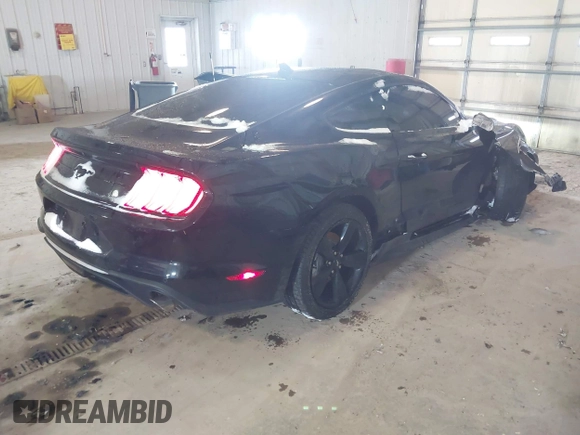 2023 Ford Mustang EcoBoost with VIN 1FA6P8TH7P5101948, listed as a IAAI auction lot 41305042 with 11,047 mi miles. Bid and sale history available at carsss.com. Image 4.