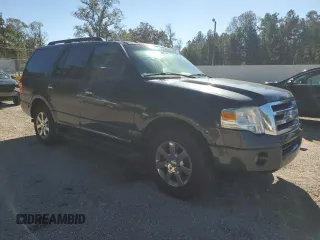 2009 Ford Expedition SSV with VIN 1FMFU15579LA02294, listed as a Copart auction lot 80765814 with 204,577 mi miles and Clean title. Bid and sale history available at DreamBid. Image 4.