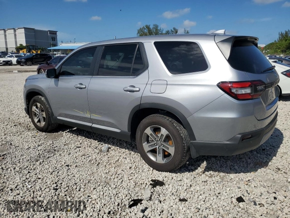 2024 Honda Pilot EX-L 7 Passenger with VIN 5FNYG2H50RB007894, listed as a Copart auction lot 59764574 with 3,801 mi miles and Non Repairable. Bid and sale history available at carsss.com. Image 2.