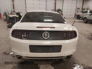 2013 Ford Mustang V6 with VIN 1ZVBP8AM0D5281131, listed as a IAAI auction lot 41447563 with 119,820 mi miles. Bid and sale history available at carsss.com. Image 16.