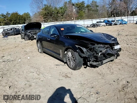 2018 Kia Stinger with VIN KNAE15LA2J6017155, listed as a Copart auction lot 46068735 with 98,295 mi miles and Salvage Title. Bid and sale history available at DreamBid. Image 11.