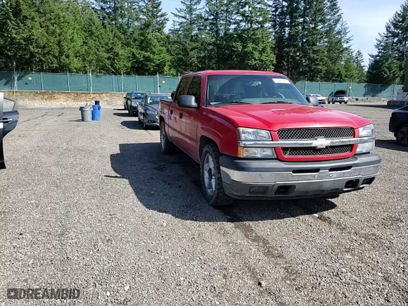 2005 Chevrolet Silverado 1500 LS with VIN 2GCEC13T251244513, listed as a Copart auction lot 51543795 with 223,224 mi miles and Salvage Title. Bid and sale history available at carsss.com. Image 10.