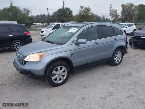 2009 Honda CR-V EX-L with VIN JHLRE387X9C006124, listed as a IAAI auction lot 41757092 with 142,038 mi miles. Bid and sale history available at carsss.com. Image 2.
