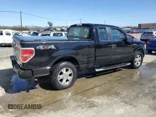 2009 Ford F-150 STX with VIN 1FTRX14899KC91625, listed as a Copart auction lot 49863945 with 203,946 mi miles and Salvage Title. Bid and sale history available at DreamBid. Image 3.