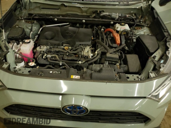 2019 Toyota RAV4 with VIN DPSMN17918, listed as a Copart auction lot 42574364 with 17,990 mi miles and . Bid and sale history available at DreamBid. Image 11.