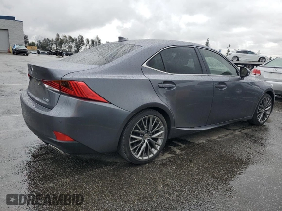 2019 Lexus IS with VIN JTHBA1D2XK5090799, listed as a Copart auction lot 48598785 with 22,079 mi miles and Salvage Title. Bid and sale history available at carsss.com. Image 3.
