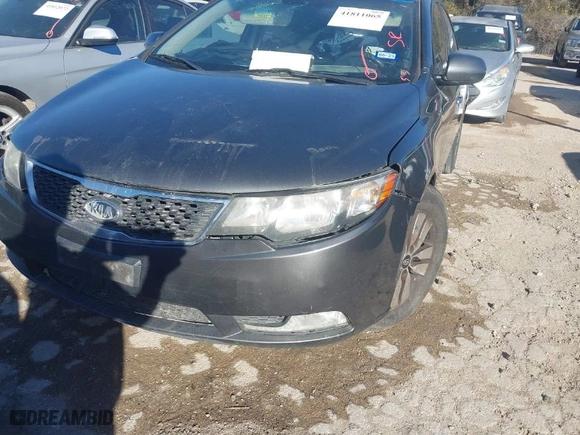 2013 Kia Forte EX with VIN KNAFU4A20D5700547, listed as a IAAI auction lot 41811065 with NaN miles. Bid and sale history available at carsss.com. Image 13.