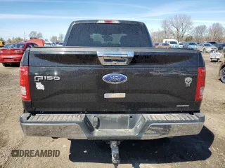 2015 Ford F-150 XLT with VIN 1FTEW1EF4FKD57184, listed as a Copart auction lot 49536075 with 75,767 mi miles and Salvage Title. Bid and sale history available at DreamBid. Image 6.