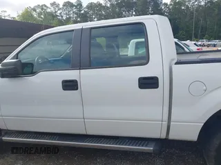 2013 Ford F-150 XL with VIN 1FTFW1EF1DKF98847, listed as a IAAI auction lot 42157305 with 203,154 mi miles and . Bid and sale history available at DreamBid. Image 14.