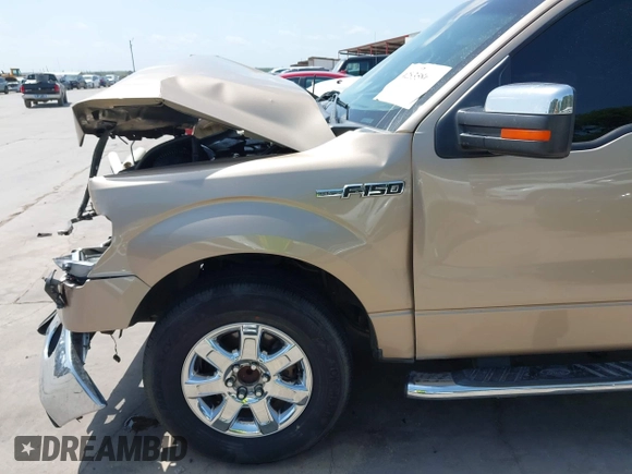 2013 Ford F-150 XL with VIN 1FTEW1CM1DKF70849, listed as a IAAI auction lot 42535866 with 213,674 mi miles and . Bid and sale history available at DreamBid. Image 19.