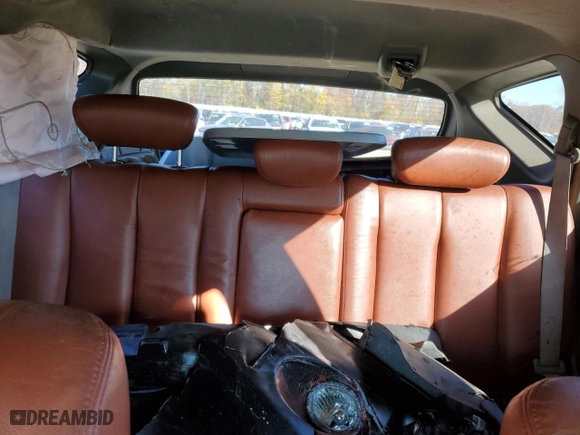 2003 Nissan Murano SE with VIN JN8AZ08W93W217183, listed as a Copart auction lot 77698384 with 0 mi miles and Salvage Title. Bid and sale history available at carsss.com. Image 10.