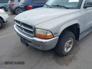 1999 Dodge Dakota SLT with VIN 1B7GG22YXXS255021, listed as a IAAI auction lot 41809325 with 204,352 mi miles and . Bid and sale history available at carsss.com. Image 6.