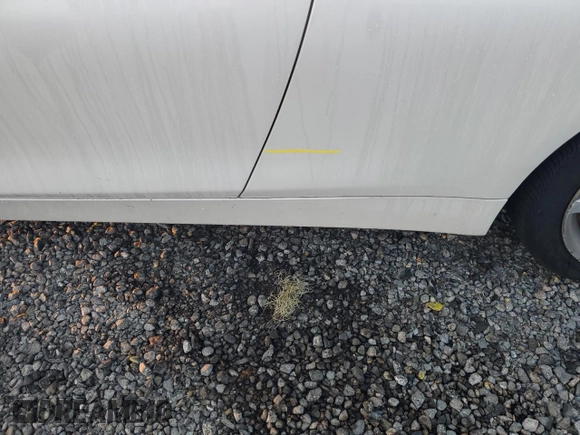 2018 BMW 4 Series 430i with VIN WBA4W3C51JAC97123, listed as a Copart auction lot 77802074 with Not Provided miles and Non Repairable. Bid and sale history available at DreamBid. Image 12.