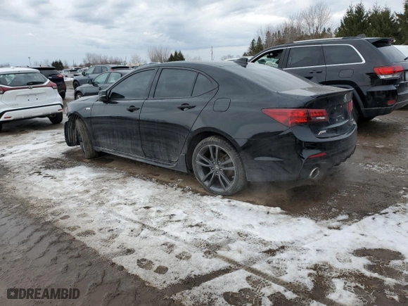 2019 Acura TLX w/A-Spec Pkg with VIN 19UUB3F64KA801568, listed as a Copart auction lot 45381445 with 145,671 mi miles and Clean Title. Bid and sale history available at carsss.com. Image 2.