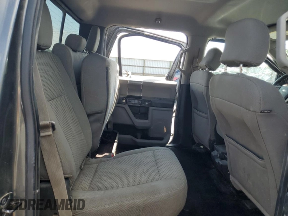 2016 Ford F-150 XLT with VIN 1FTFW1EFXGKF69299, listed as a Copart auction lot 60369425 with 125,205 mi miles and Salvage title. Bid and sale history available at DreamBid. Image 10.