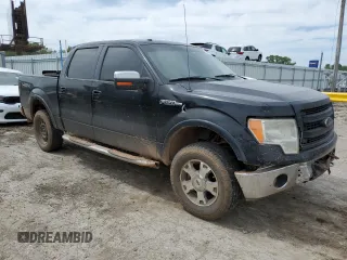 2009 Ford F-150 XL with VIN 1FTPW14V69FB18458, listed as a Copart auction lot 55684195 with 338,034 mi miles and Salvage title. Bid and sale history available at DreamBid. Image 4.