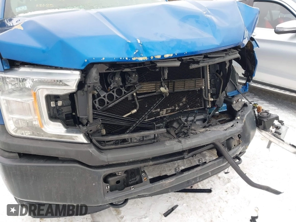 2018 Ford F-150 XL with VIN 1FTEX1EBXJKF17443, listed as a IAAI auction lot 41448484 with 132,118 mi miles and . Bid and sale history available at DreamBid. Image 17.
