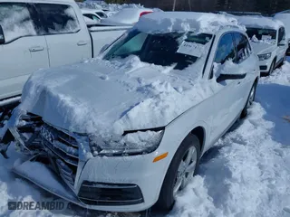 2020 Audi Q5 Premium Plus with VIN WA1BNAFY9L2007285, listed as a IAAI auction lot 41567118 with NaN miles. Bid and sale history available at carsss.com. Image 17.