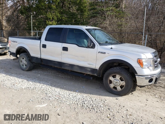 2014 Ford F-150 XL with VIN 1FTFW1ET8EFC10691, listed as a Copart auction lot 49817555 with 241,581 mi miles and Salvage Title. Bid and sale history available at carsss.com. Image 4.