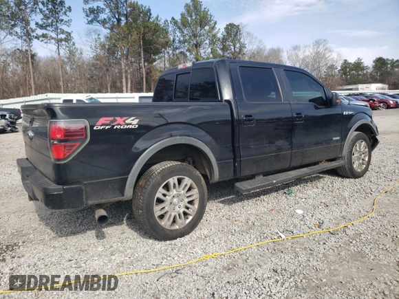2013 Ford F-150 XL with VIN 1FTFW1ET6DKF08260, listed as a Copart auction lot 42494635 with 252,331 mi miles and Salvage Title. Bid and sale history available at carsss.com. Image 3.