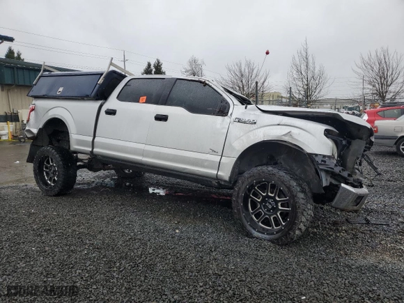 2016 Ford F-150 XLT with VIN 1FTFW1EG9GKE34758, listed as a Copart auction lot 49686685 with 0 mi miles and Salvage Title. Bid and sale history available at carsss.com. Image 4.