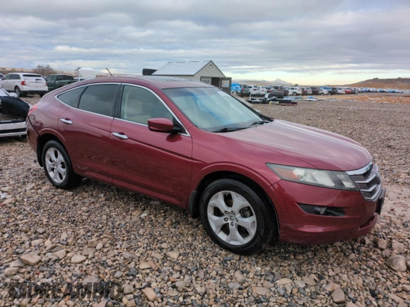 2010 Honda Accord Crosstour EX-L with VIN 5J6TF2H55AL007690, listed as a Copart auction lot 81562564 with 116,285 mi miles and Salvage Title. Bid and sale history available at carsss.com. Image 4.