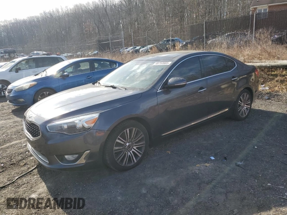 2015 Kia Cadenza Premium with VIN KNALN4D7XF5168637, listed as a Copart auction lot 46753885 with Not Provided miles and Clean Title. Bid and sale history available at carsss.com. Image 1.