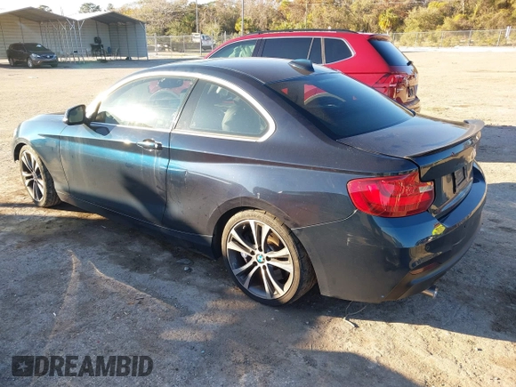 2015 BMW 2 Series 228i with VIN WBA1F5C53FV257153, listed as a IAAI auction lot 41294335 with 99,919 mi miles. Bid and sale history available at carsss.com. Image 3.