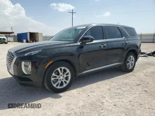 2022 Hyundai Palisade SE z VIN KM8R1DHE8NU387565, wystawiony jako Copart lot #54209515 z przebiegiem 24 094 mil mil oraz Szkody całkowita. Historia ofert i sprzedaży dostępna na DreamBid. Obrazek 1.