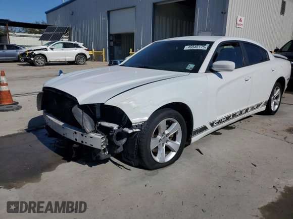 2013 Dodge Charger SE with VIN 2C3CDXBG5DH623754, listed as a Copart auction lot 46846175 with 187,841 mi miles and Salvage Title. Bid and sale history available at DreamBid. Image 1.