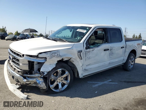 2023 Ford F-150 XL with VIN 1FTFW1E82PFB33122, listed as a Copart auction lot 58625905 with 21,184 mi miles and Salvage title. Bid and sale history available at DreamBid. Image 1.