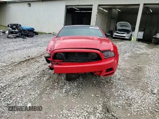 2013 Ford Mustang GT with VIN 1ZVBP8CF8D5263930, listed as a Copart auction lot 55014525 with 166,983 mi miles and Salvage title. Bid and sale history available at DreamBid. Image 14.