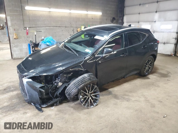 2025 Lexus NX with VIN 2T2GGCEZ1SC060683, listed as a Copart auction lot 52689465 with 2,141 mi miles and Salvage Title. Bid and sale history available at carsss.com. Image 1.