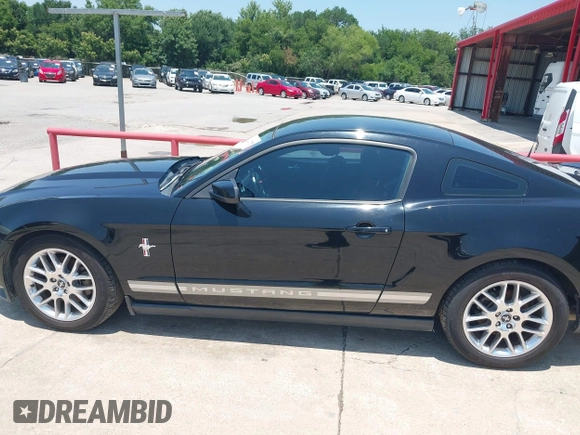 2012 Ford Mustang Premium with VIN 1ZVBP8AM0C5221428, listed as a IAAI auction lot 42273202 with 196,402 mi miles and . Bid and sale history available at DreamBid. Image 14.