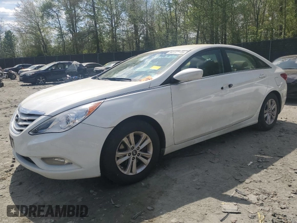 2013 Hyundai Sonata GLS with VIN 5NPEB4AC1DH803019, listed as a Copart auction lot 54192145 with 166,456 mi miles and Salvage Title. Bid and sale history available at carsss.com. Image 1.