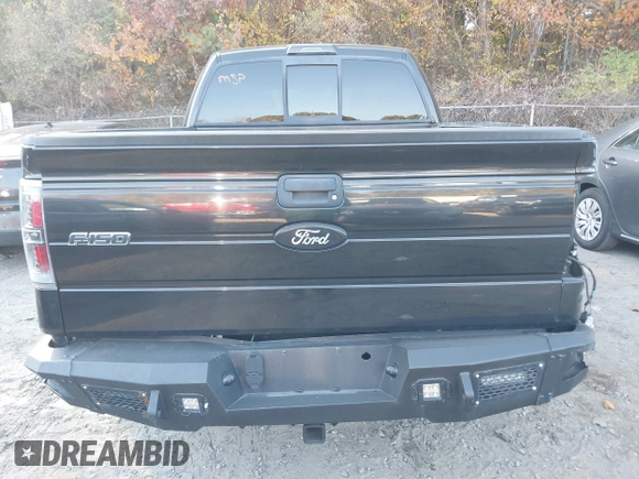 2010 Ford F-150 XL z VIN 1FTEX1EW3AFB48534, wystawiony jako IAAI lot #40646062 z przebiegiem 138 625 mil mil oraz . Historia ofert i sprzedaży dostępna na DreamBid. Obrazek 15.