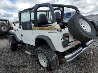 1995 Jeep Wrangler with VIN 1J4FY29S5SP205255, listed as a Copart auction lot 81524244 with 151,858 mi miles and Salvage Title. Bid and sale history available at carsss.com. Image 2.