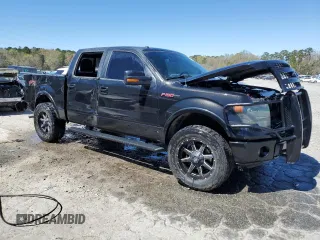 2013 Ford F-150 XL with VIN 1FTFW1ETXDFC09265, listed as a Copart auction lot 48344915 with 163,261 mi miles and Salvage Title. Bid and sale history available at DreamBid. Image 4.