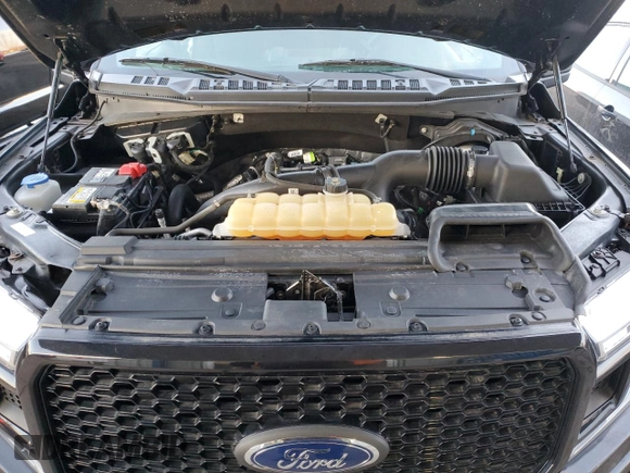 2019 Ford F-150 XL with VIN 1FTEW1EP5KFC28415, listed as a Copart auction lot 48616685 with 39,981 mi miles and Salvage Title. Bid and sale history available at carsss.com. Image 11.