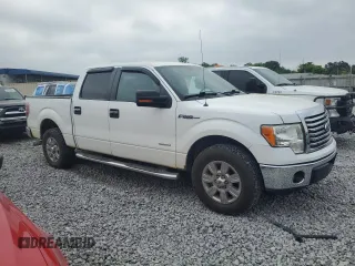2012 Ford F-150 XL with VIN 1FTFW1CT4CKE02889, listed as a Copart auction lot 54021855 with 217,007 mi miles and Clean Title. Bid and sale history available at carsss.com. Image 4.