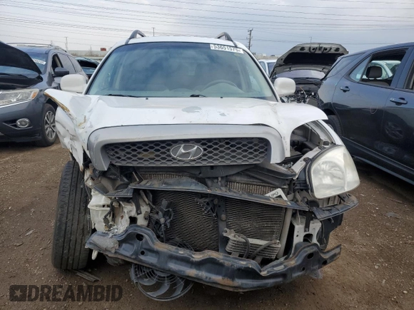 2004 Hyundai Santa Fe GLS with VIN KM8SC13D04U682926, listed as a Copart auction lot 53651575 with 182,317 mi miles and Salvage Title. Bid and sale history available at DreamBid. Image 5.