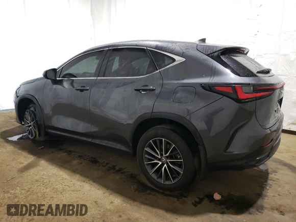 2023 Lexus NX with VIN 2T2GDCAZXPC003713, listed as a Copart auction lot 76096024 with 52,622 mi miles and Clean Title. Bid and sale history available at carsss.com. Image 2.